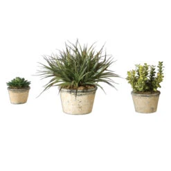 Set Of 3 Decorative Artificial La Costa Greenery In Distressed Pots 18"