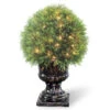 27" Upright Juniper Ball Topiary Tree In Urn - Prelit