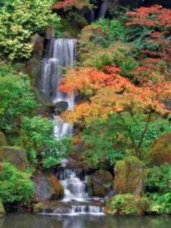 Green And White Fall Color With Waterfall Outdoor Canvas Rectangular Wall Art Decor 40" X 30"