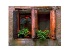 Green And Red Due Outdoor Canvas Rectangular Wall Art Decor 30" X 40"