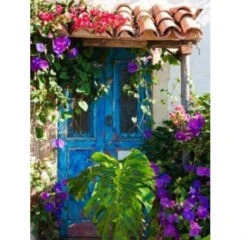 Blue And Purple Morning Glory Outdoor Canvas Rectangular Wall Art Decor 40" X 30"