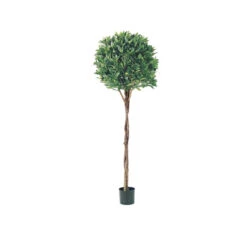 Pack Of 2 Potted Artificial Bay Leaf Ball Topiaries 5'