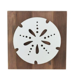 15.75" White And Brown Sand Dollar Decorative Wall Plaque