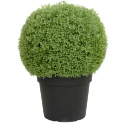 22" Artificial Boxwood Ball Topiary In Round Pot, Unlit